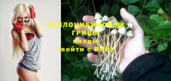 таблы Алзамай
